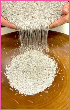 Molly Pouring Silver